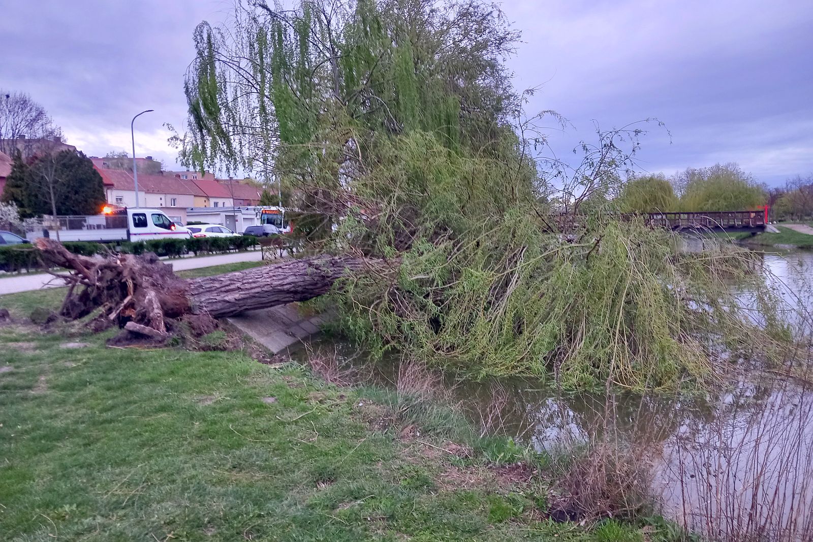 A viharos szél városszerte adott munkát a Városgondnokság parkfenntartóinak